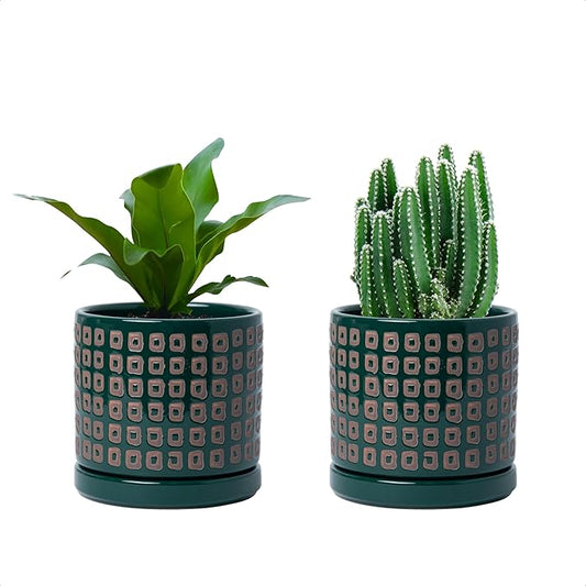 D'vine Dev Set of 2 Ceramic Planter Pots with Drainage Hole and Saucer, 4.5 Inch Plant Pots for Plants Indoor Houseplants, Green, 99-Z-A-4-V