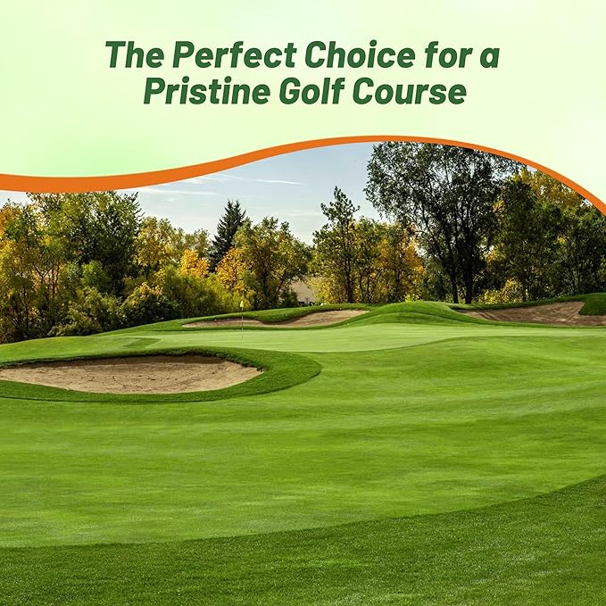 Outsidepride V8 Creeping Bentgrass Seed - 1 lb Fine-Bladed, Premium Quality Turf, Grass Seeds for Smooth Surface, & High-Traffic Areas, Ideal Grass for Golf Courses Putting Greens, & Fairways