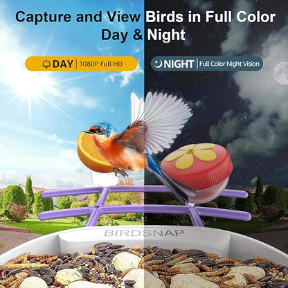 birdsnap® PAV- Smart Bird Feeder with Camera Solar Powered, 64GB Card & 2K HD Record Video Bird Camera Live with 5 DIY Add-ons, AI Identify Auto Capture, Ideal Gift for Birds Lover