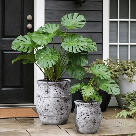 Yundu Concrete Plant Pot Set of 2, The Large planters for Indoor Plants, 13.8 & 10.8 inch pots for Plants, Plant pots Indoor with Drainage Modern décor for Home, Office and Outdoor Décor