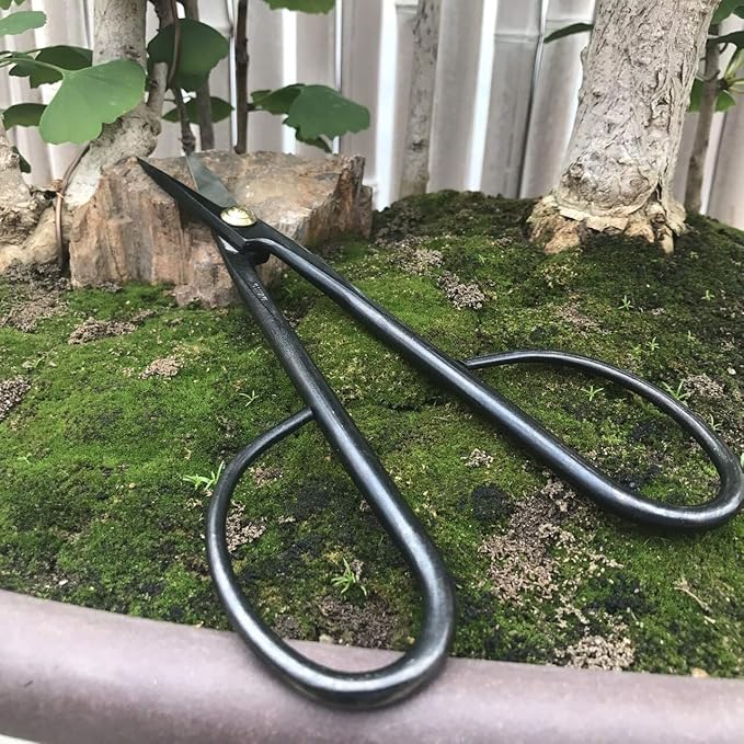 Bonsai Outlet Scissors Pruning Kit - Yoshiaki Heavy Duty Japanese Shears, Bonsai Clippers for Trimming Plants, Arranging Flowers and Working on Bonsai Trees, Carbon Steel Garden Tools