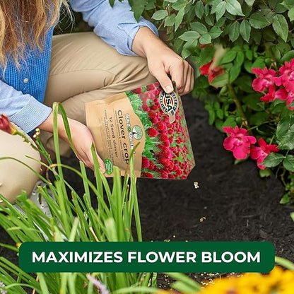 BuildASoil No-Till Clover Seed Cover Crop Blend 12 Species Cover Crop Seed Mix Premium Clover Seeds for Lawn - Plants Friendly Cover Crop for Garden - 60% Clover (10 LB Bag)