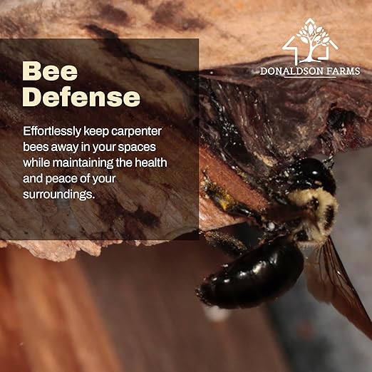 All-Natural Foaming Bee Spray Killer Outdoor - Carpenter Insect Bee Spray Killer - Reliable Defense for All Kinds of Insects, 16 oz