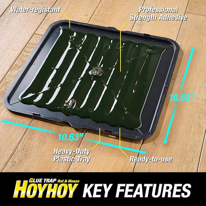 HOY HOY Jumbo Size Rat & Mouse Indoor/Outdoor Glue Trap 2 Large Traps [1 Pack] - Heavy-Duty Professional Strength Ready-to-Use Pest Control, Kids & Pets Friendly Household Pests & Insects