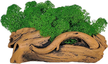 Moss Centerpiece 6in, Handmade Artificial Bonsai with Real Moss, No Maintenance