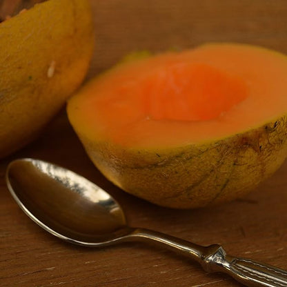 Minnesota Midget Melon - 25 Seeds - Heirloom Melon Variety, Great for Containers, Sweet & Easy-2-Grow, Non-GMO Cantaloupe Seeds for Planting Outdoors in The Home Garden, Thresh Seed Company