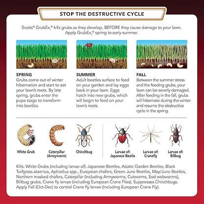 Scotts GrubEx1 Season Long Grub Killer - Kills and Prevents for Up to 4 Months, Treats 10,000 sq. ft. (2-Pack)