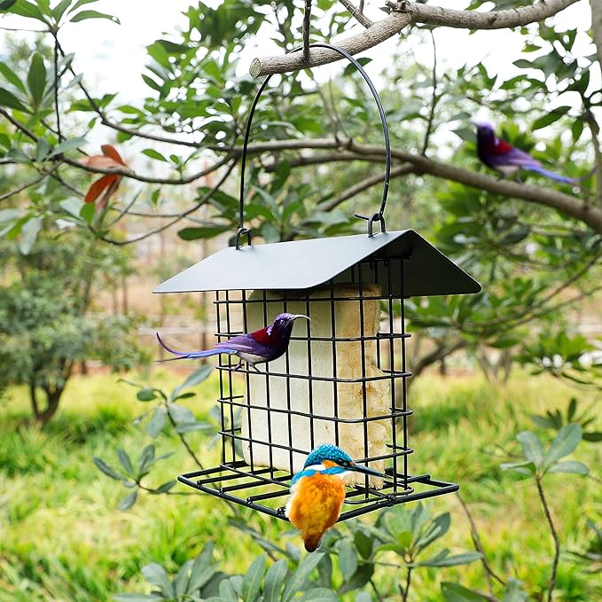 winemana Suet Feeder for Outside Hanging, Metal Suet Cake Holder Squirrel Proof, Weatherproof Bird Feeders for Wild Birds Woodpecker, Single Suet Cage for Outdoor Garden