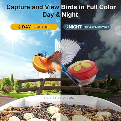 birdsnap® PAV- Smart Bird Feeder with Camera Solar Powered, 64GB Card & 2K HD Record Video Bird Camera Live with 5 DIY Add-ons, AI Identify Auto Capture, Ideal Gift for Birds Lover