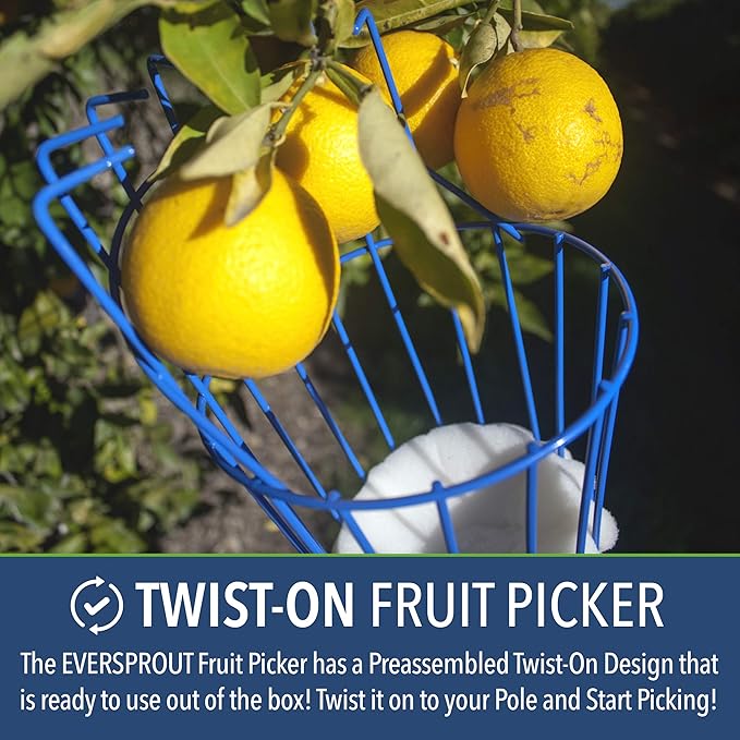 EVERSPROUT 4.5-to-12ft Durable Fruit Picker with 20+ Foot Reach – Telescoping Fruit Picker Pole, Lightweight Twist-On Fruit Picking Tool with Basket, Aluminium Extension Pole for Tree Fruit Harvesting