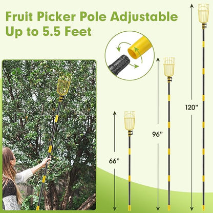 INFLATION Fruit Picker Tool,Apple Picker Pole with Basket,5.5 FT Adjustable Fruit Picker Pole with Basket Telescoping,Sturdy Basket with Foam Pad for Picking Avocado Acorn Lemon Pear Mango……