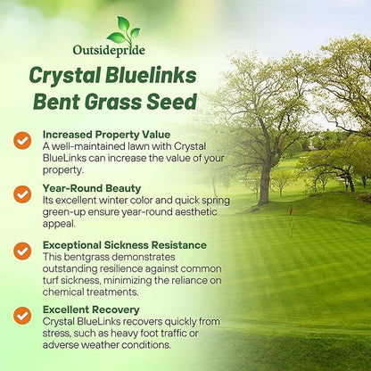 Outsidepride Crystal Bluelinks Creeping Bent Grass Seed - 1 lb. Dense Turf Grass for Golf Greens & Putting Surfaces, Fine-Textured, Tolerant to Close Mowing for Smooth, Consistent Lawn Coverage