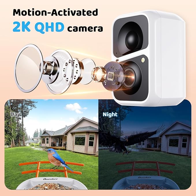 Smart Bird Feeder with Camera - 2K HD Live View & Auto Capture, AI Bird Identification, Solar Powered with 64GB SD Card, Real-Time Alerts, 5 DIY Accessories for Birds Lovers