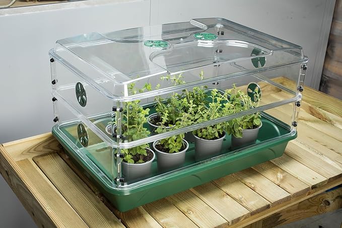 EarlyGrow 95457 24" x 15" x 16.75" Domed Propagator, Green, 3 Side Extenders and Locking Clip Set