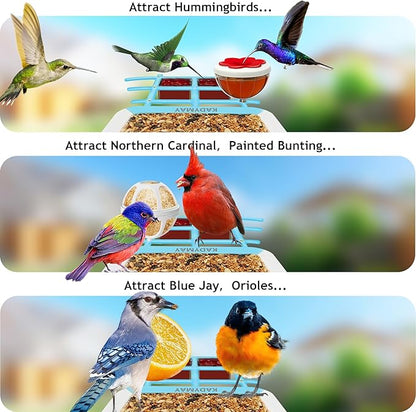 64GB Smart Bird Feeder with Camera Solar Powered, AI Identify 10K+ Bird Aves, 2K 3MP HD Live Video &Playback on Phone, 2.4G WiFi Birdhouse Camera Wireless Outdoor-Watching House (Light Blue)