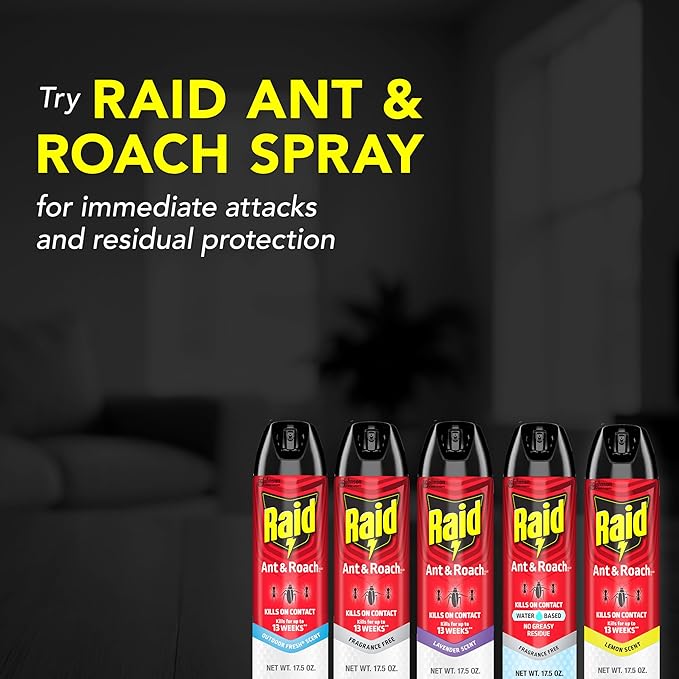 Raid Ant & Roach Killer Spray for Listed Bugs, Keeps Killing for Weeks, Lavender Scent, 17.5 oz