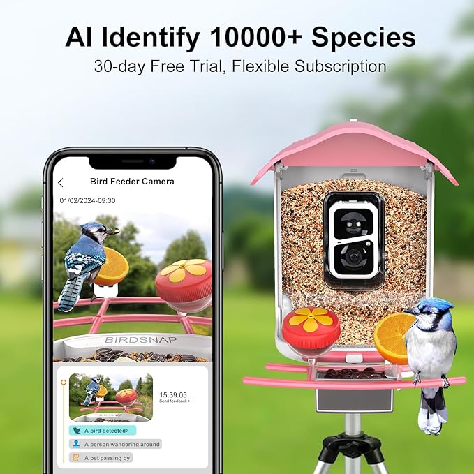 birdsnap® PAV- Smart Bird Feeder with Camera Solar Powered, 64GB Card & 2K HD Record Video Bird Camera Live with 5 DIY Add-ons, AI Identify Auto Capture, Ideal Gift for Birds Lover