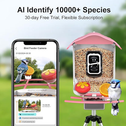 birdsnap® PAV- Smart Bird Feeder with Camera Solar Powered, 64GB Card & 2K HD Record Video Bird Camera Live with 5 DIY Add-ons, AI Identify Auto Capture, Ideal Gift for Birds Lover
