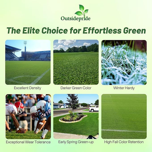 Outsidepride Monaco Bermuda Grass Seed - 2 lbs. Drought-Tolerant, Dense, Wear-Resistant Turf Grass Seeds for Lawn, Sports Fields, & High-Traffic Areas - Ideal for Warm-Season & Transition Zone Areas