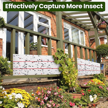 Qualirey Giant Sticky Fly Traps,30 Feet Fly Strips for Indoor Outdoor Hanging Flying Tapes Non Toxic Ribbon Fruit Gnat Killer for Mosquito Plants House Horse Stable (White,2 Pcs)