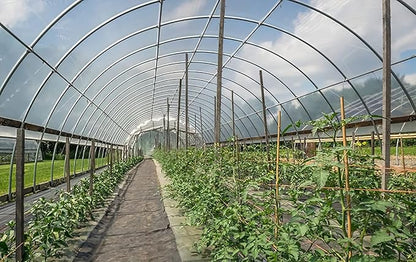 Greenhouse Plastic Sheeting 16x28 ft, 6 mil Thickness Replacement Cover, UV Resistant