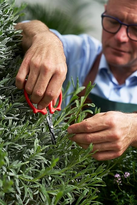 Felco 420 Trimming Scissors – 6.1" Swiss-Made Garden Clippers with Fine Tip & Non-Stick Blade | Pruning Shears for Gardening | Garden Scissors for Plant with Stainless Steel Blade, Built-In Ruler