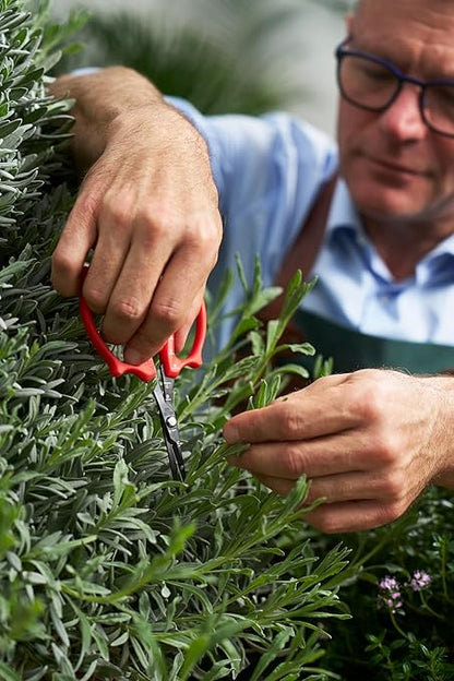 Felco 420 Trimming Scissors – 6.1" Swiss-Made Garden Clippers with Fine Tip & Non-Stick Blade | Pruning Shears for Gardening | Garden Scissors for Plant with Stainless Steel Blade, Built-In Ruler