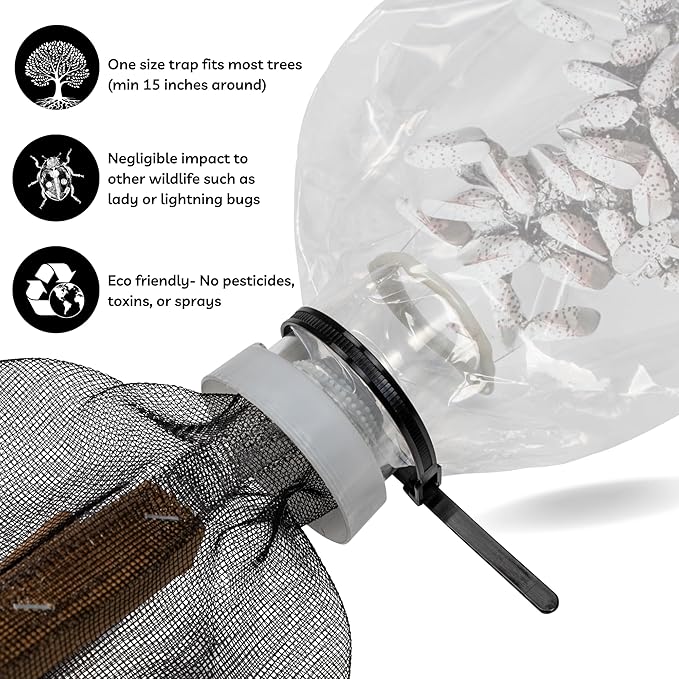 Spotted Lanternfly Tree Trap, Catch Lanternfly Without Catching Other Wildlife, Natural and Non Toxic - Made in USA