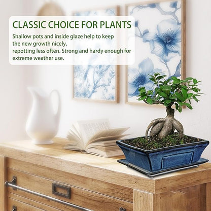Large Ceramic Bonsai Pots with Drainage Trays Set of 2, 10" Blue Glazed Bonsai Planters for Indoor/Outdoor Use, Rectangular Shallow Bonzai Tree Pot for Succulent, Orchids, Cacti, Home, Patio, Garden