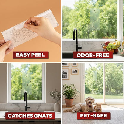 XFasten Window Fly Traps Sticky Clear 50-Pack Fruit Fly Traps for Indoors Sticky, Residue-Free, Odorless, Discreet Adhesive Indoor Catcher for Fruit Flies Houseflies, Gnats on Windows Kitchen Garage