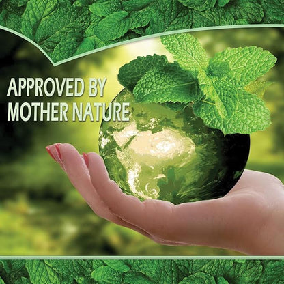 Puremint Spider Repellent, Natural 5% Peppermint Oil Spray, Kills & Deters All Types of Spiders and Insects, Indoor and Outdoor Use, 16 fl oz Pint