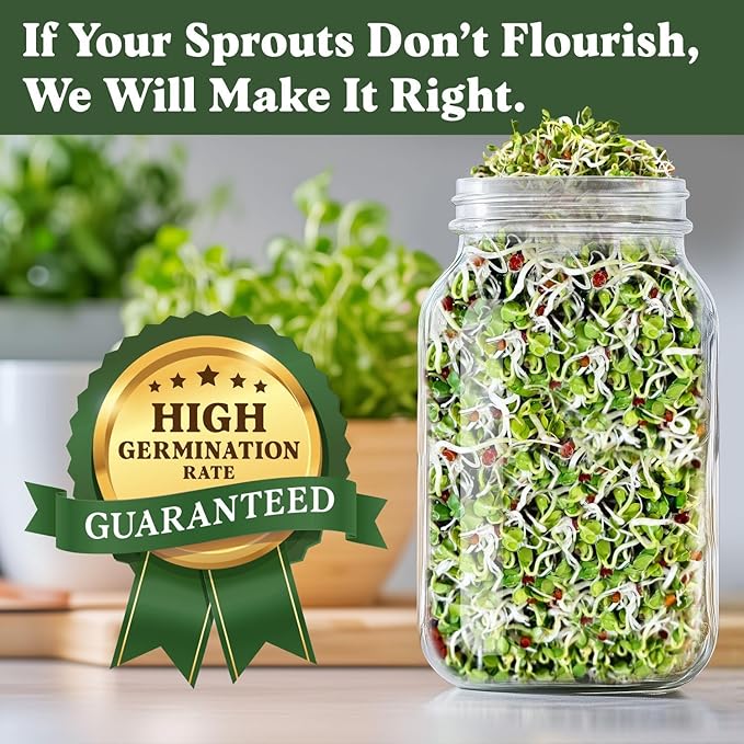 Seedboy Organic Non-GMO Radish Seeds for Sprouting - USA Grown Microgreens Sprouting Seeds - 8 oz Bag Makes 8 Quarts / 24 Servings (Daikon Radish)