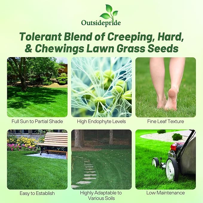 Outsidepride Legacy Fine Fescue Grass Seed Mix - 25 lbs. Shade & Sun Tolerant Blend of Hard Fescue, Chewings Fescue & Creeping Red Fescue with OptiGrowth Coating for Better Establishment