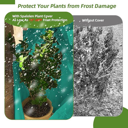 2 Pack Plant Covers Freeze Protection, 48"W x 72"H Winter Frost Blanket 2.36 oz/yd² Fabric Frost Cloth Tree Covers Shrub Jacket Bag with Zipper & Drawstring for Plants Fruit Tree Shrub Potted - Green