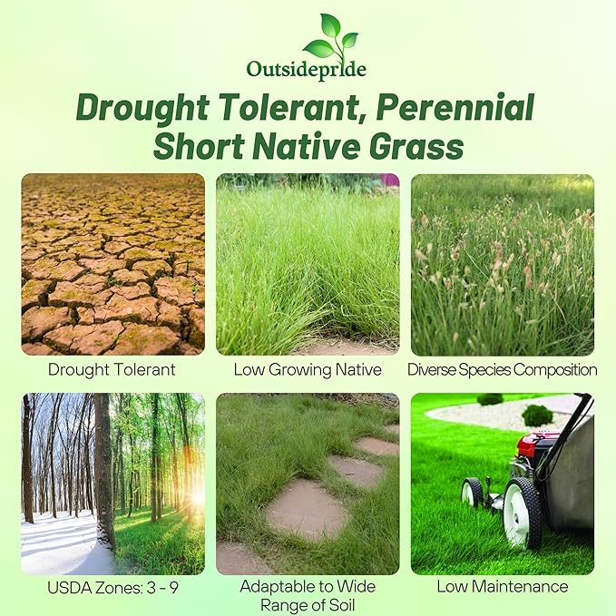 Outsidepride Perennial Short Native Grass Seed Mix - 1 lb. Premium Mix of Blue Grama, Buffalo, Sideoats Grama, & Sheep’s Fescue Grass Seeds for Low-Maintenance, Heat & Drought-Tolerant Landscaping