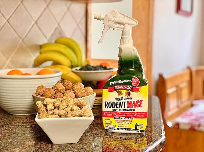 Nature’s MACE Rodent Repellent 1 Gal Concentrate Covers 87,000 Sq Ft, Rodent Repellent Outdoor, Keep Rodents Out of Home, Garage, Attic, Peppermint Spray Blend for Rodents, Safe Around Kids & Pets