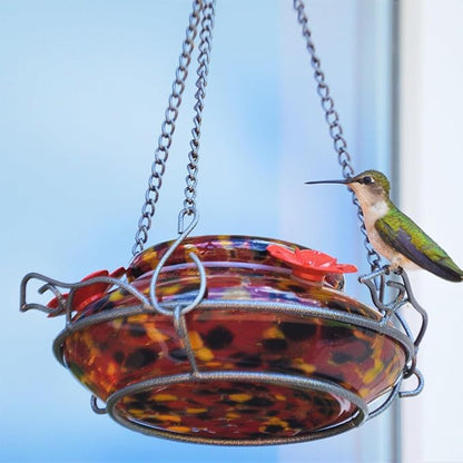 Nature's Way Bird Products GHF5 Hand Blown Garden Top Fill Hummingbird Feeder, 16 oz Capacity, Molten