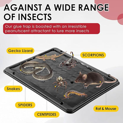 Qualirey 10 Pack Jumbo Rat & Mouse Glue Traps, 11.8 X 9.84 in Large Heavy Duty Mouse Traps Indoor for Home, Pre Scented Adhesive Plastic Tray with for Spider, Snake, Mice, Kids and Pet Safe (Black)
