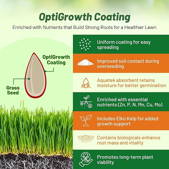 Outsidepride 1 Lb Supranova Shade Grass Mix of POA Supina & Rough Bluegrass - Shade Tolerant Grass Seed for Golf Courses, Athletic Fields, & Outdoor Lawns, OptiGrowth Coated for Seed Enhancement