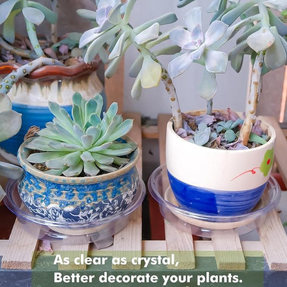 Plant Saucer 50 Pack Plant Trays for Pots 6 Inch Plastic Plant Saucers for Outdoors and Indoors Clear Drip Trays for Potted Plants Flower Pot Plates to Catch Water Plant Drainage Dishes No Holes