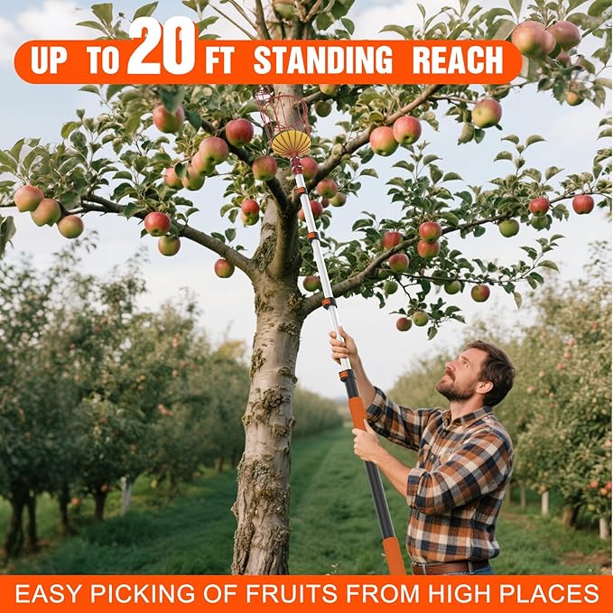 20FT Reach Fruit Picker Pole with Basket Telescoping, Apple Picker with 3-12FT Telescoping Pole for Apple Orange Lemon Mango Avocado Guava Fruit Picking