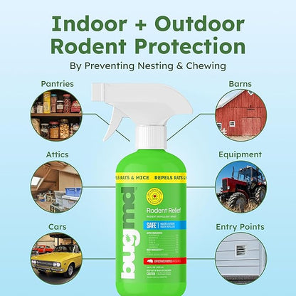 BugMD Peppermint Oil Spray for Rodents (2 Pack- 16oz) Mouse Repellent & Rodent Repellent Spray, Natural Mice Repellent with Cinnamon, Clove, and Rosemary Oils - Safe Indoor & Outdoor Use