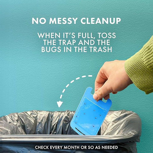 STEM Light Trap Refill Cartridges, Indoor Fruit Fly Trap, Effective Insect Control for Home, Attracts Flying Insects, Compatible with STEM Light Trap, 2 Count (Pack of 8)