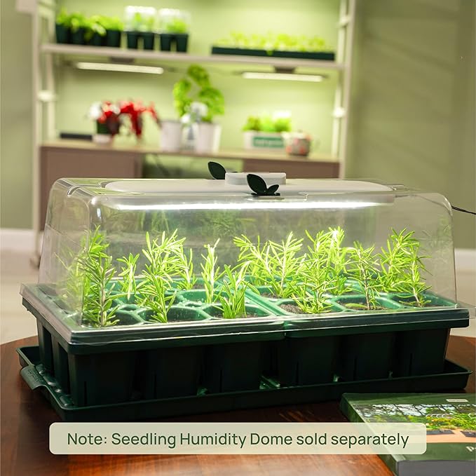 Vego garden Giga Seedling Trays - 2 Pack, 9-Cell UV-Resistant Reusable Starter Trays for Greenhouse/Garden (No Lids)