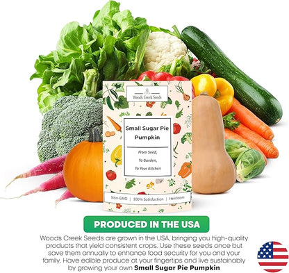 Woods Creek Seeds: Small Sugar Pie Pumpkin Seeds for Planting - Over 40 Heirloom Non-GMO Pumpkin Seeds to Plant - Ideal Heirloom Seeds to Grow for Pies & Fall Harvest - Pumpkins for Outdoor Gardens