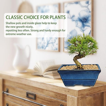 Set of 2 Large Blue Glazed Ceramic Bonsai Pots, 10" Rectangular Bonsai Planters Pots with Drainage Hole for Indoor/Outdoor Plants, Bonzie Tree Pot for Succulents, Cacti, Orchids, Herbs, Spider Plants