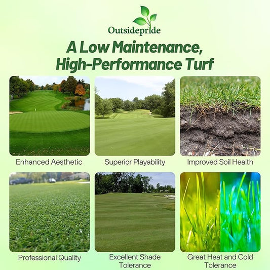 Outsidepride Crystal Bluelinks Creeping Bent Grass Seed - 1 lb. Dense Turf Grass for Golf Greens & Putting Surfaces, Fine-Textured, Tolerant to Close Mowing for Smooth, Consistent Lawn Coverage