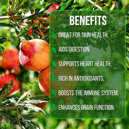 Pomegranate Wonderful Live for Sale (4 Pack) | Easy to Grow Plants | Edible Fruit Plant for Sustainable Living | Grow Your own Food on Your Edible Organic Garden| Live for Planting| 2 inch Pot