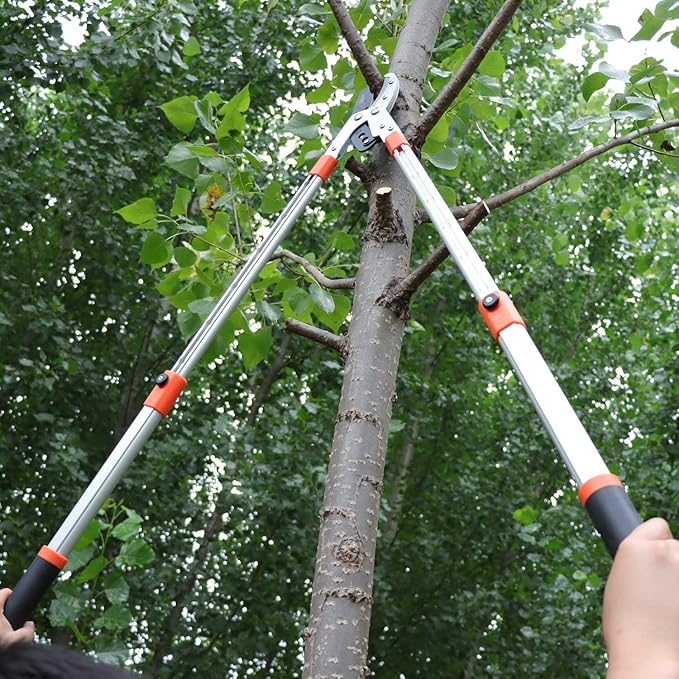 Anvil Lopper with Compound Action, Chops Thick Branches with Ease, 40 Inch Tree Trimmer, Branch Cutter with 2 Inch Clean Cut Capacity