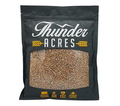 Non-GMO, Thunder Acres Premium Wheat Seed, Cat Grass Seed, Wheatgrass, Hard Red Winter Wheat (5 lbs.)